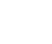 Logo Social Net
